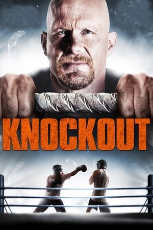 Born to Fight 2011 Hindi Dual Audio [1.3GB]