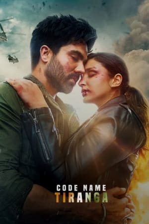 Code Name: Tiranga 2022 Hindi Movie DVDScr –