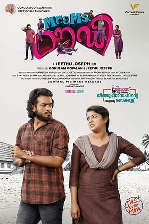 Rowdy 2019 Hindi Dubbed 300MB