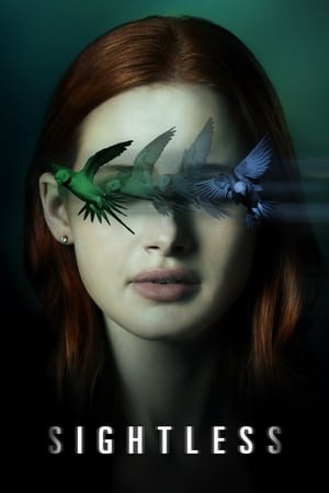 Sightless 2020 Hindi Dual Audio [800MB]